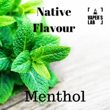 Жидкости для вейпа Native Flavour Menthol 100