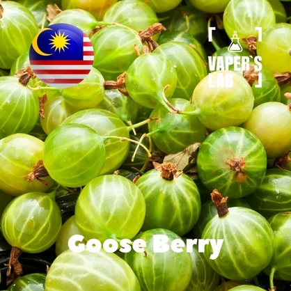 Фото, Відео ароматизатори Malaysia flavors Goose Berry