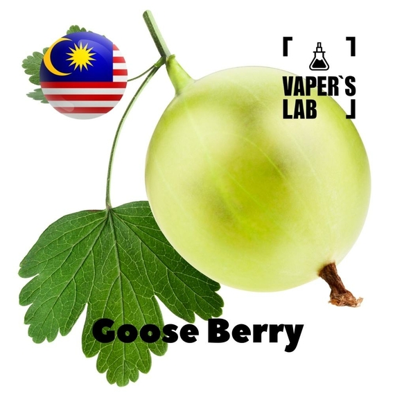 Отзывы на Ароматизтор Malaysia flavors Goose Berry