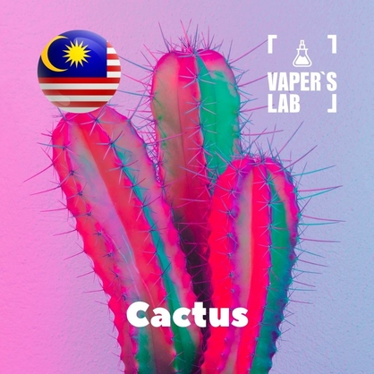 Фото, Відео ароматизатори Malaysia flavors Cactus