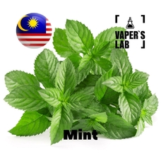 Кращі смаки для самозамісу Malaysia flavors Mint