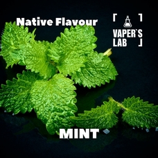 Ароматизатор для жижи Native Flavour Mint 30мл