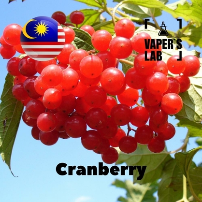 Фото, Видео, ароматизаторы Malaysia flavors Cranberry