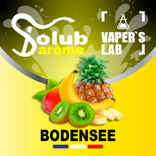 Купити ароматизатор Solub Arome Bodensee Цитрусові та екзотичні фрукти