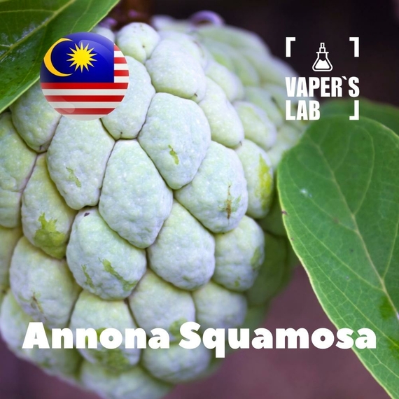 Отзывы на Ароматизтор Malaysia flavors Annona squamosa