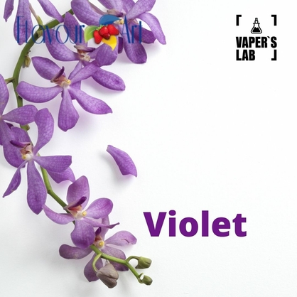 Фото, Ароматизатор для вейпа FlavourArt Violet Фиалка - [FlavourArt]