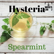 Рідини для вейпа Hysteria Spearmint 100