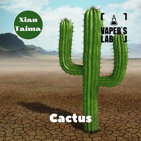 Отзывы на Ароматизтор Xi'an Taima Cactus Кактус