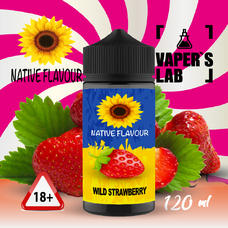 Жидкости для вейпа Native Flavour Wild Strawberry 120