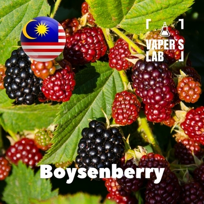 Фото, Видео, ароматизаторы Malaysia flavors Boysenberry