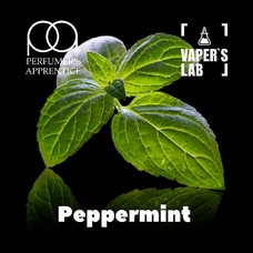 Ароматизаторы для вейпа TPA "Peppermint" (Насыщенная мята)