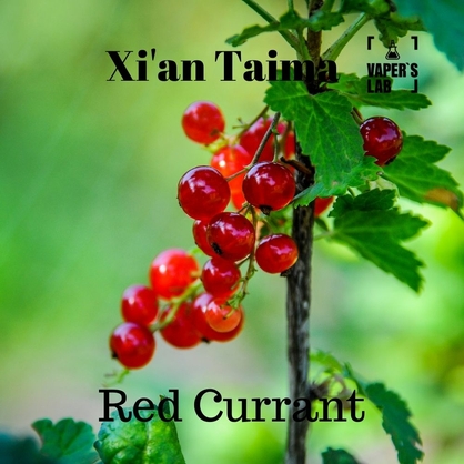 Фото Ароматизатор Xi'an Taima Red Currant Червона смородина