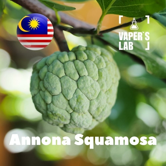 Відгук на ароматизатор Malaysia flavors Annona squamosa