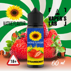  Native Flavour Strawberry 60