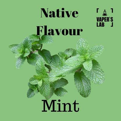 Фото, Безнікотинову рідину Native Flavour Mint 100 ml
