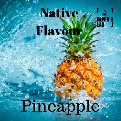Фото, Видео на жидкости для парения Native Flavour Pineapple 100 ml