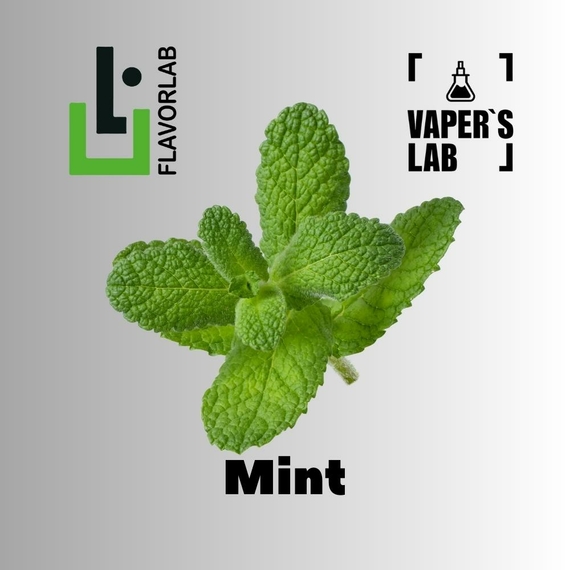 Отзывы на Ароматизтор Flavor Lab Mint 10 мл