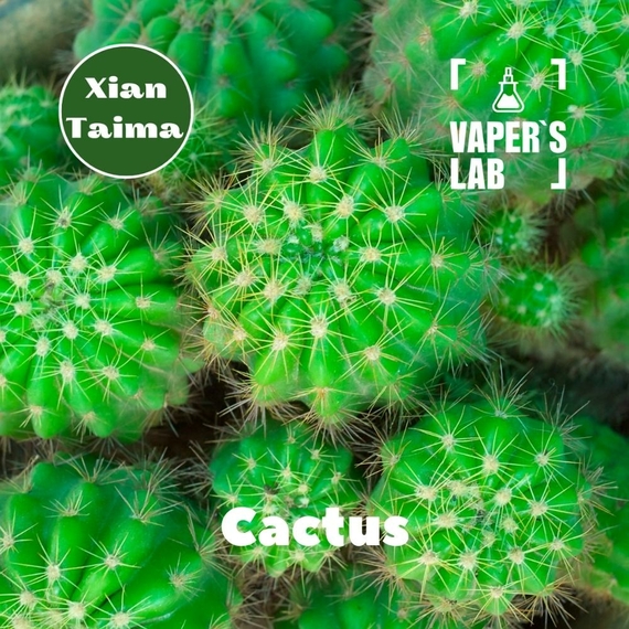 Відгук на ароматизатор Xi'an Taima Cactus Кактус