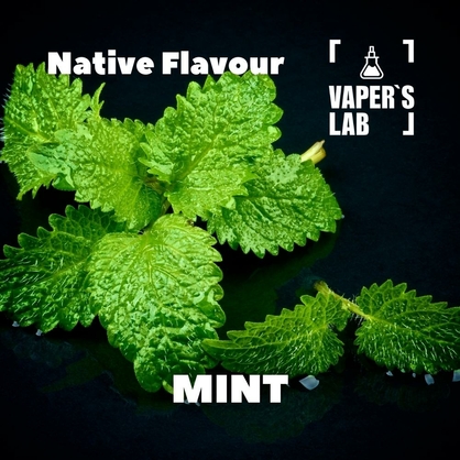 Фото, Відео на Ароматизатор для самозамісу Native Flavour Mint 30мл