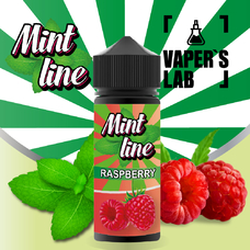Рідини для електронних сигарет Mint Raspberry 120 ml