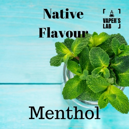 Фото жижа для вейпа 30 грн native flavour menthol 120 ml