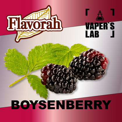 Фото на аромку Flavorah Boysenberry Бойзенова ягода