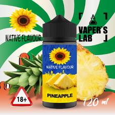  Native Flavour Pineapple 120