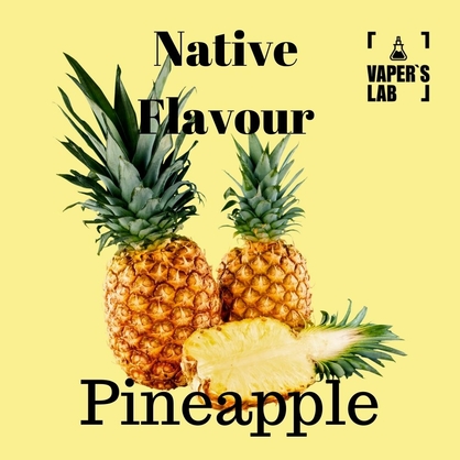 Фото, Рідина для електронних сигарет Native Flavour Pineapple 100 ml