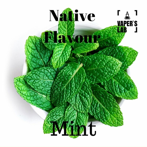 Отзывы на жижку Native Flavour Mint 100 ml