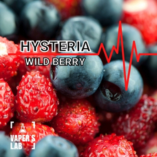 Заправка для вейпа дешево Hysteria Wild berry 30 ml