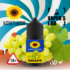  Native Flavour Grape 30