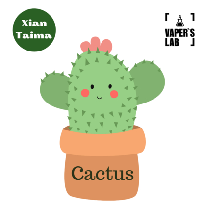 Фото Ароматизатор Xi'an Taima Cactus Кактус