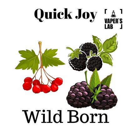 Фото, жижа для вейпа Quick Joy Wild Born 100 ml