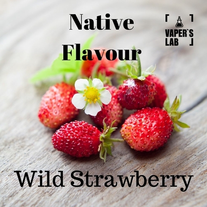 Фото, жижа без нікотину Native Flavour Wild Strawberry 100 ml