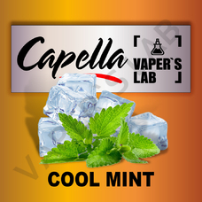 Аромки для вейпа Capella Cool Mint Мята холодная