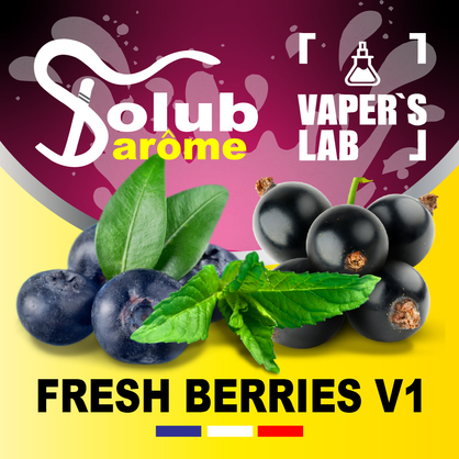 Фото,  Solub Arome Fresh Berries v1 Черника смородина мята ментол