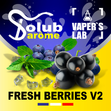 Ароматизаторы для вейпа Solub Arome Fresh Berries v2 Черника смородина мята ментол