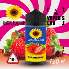 Жидкость для вейпа Native Flavour 120 мл Strawberry