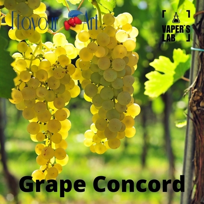 Фото, Ароматизатор для вейпа FlavourArt Grape White Белый виноград