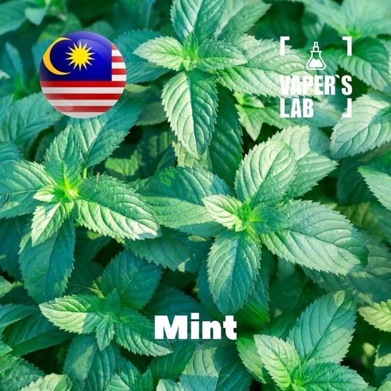Отзывы на Ароматизтор Malaysia flavors Mint