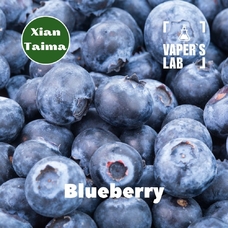 Купить ароматизатор Xi'an Taima Blueberry Голубика