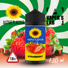Рідина для підсистем Native Flavour Strawberry 120 ml