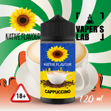 Рідина для електронних сигарет без нікотину Native Flavour Cappuccino