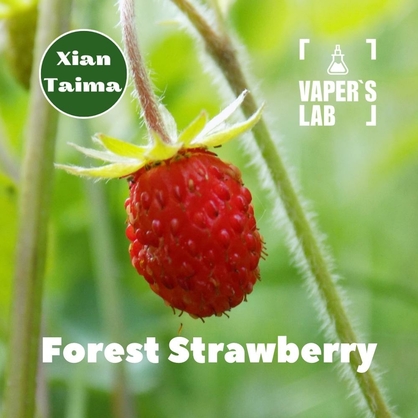 Фото, Аромка для вейпа Xi'an Taima Forest Strawberry Земляника