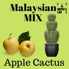 Жижа на солевом никотине Malaysian MIX Salt Apple cactus 15 ml