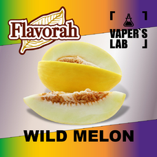 Flavorah Wild Melon Дикая дыня
