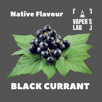 Фото, Арома для рідини вейпів Native Flavour Black Currant 30мл