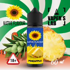  Native Flavour Pineapple 60