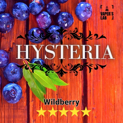 Фото, Заправка для вейпа без нікотину Hysteria Wild berry 30 ml