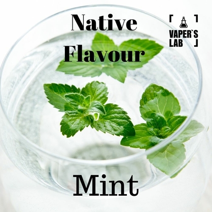 Фото на жидкость для вейпа без никотина Native Flavour Mint 30 ml